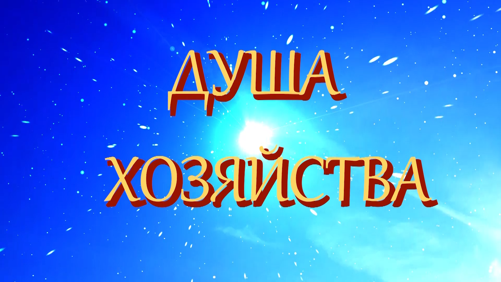 Душа хозяйства